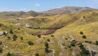 Understanding Langtang National Park: Flora, Fauna & Culture