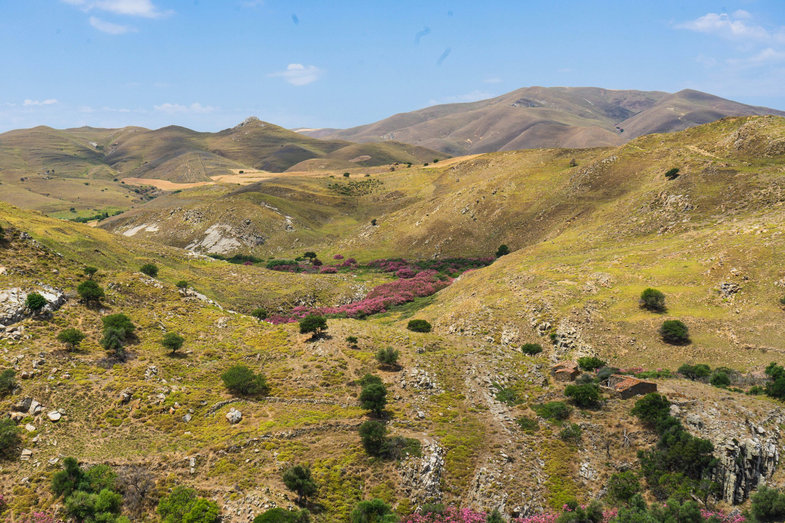 Understanding Langtang National Park: Flora, Fauna & Culture